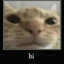 badboo