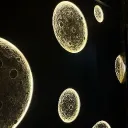 Zoldyck