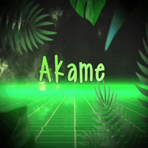 Akame — Дискорд Сервер