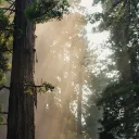 Anhult Wildlands