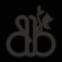Discovery icon for 🌏 Động Bông Discord server