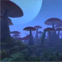 Isotopia