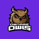 Ownage Owls