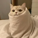 разговоры