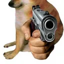 VibeCheck:::::::::::ur gud