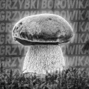 🍄Koniec☹