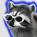Chat do Racoons
