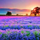 Blooming Committee