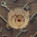 PufferORGs S8 - The Key to Safety