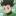 Anime Hotel's icon