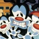Team Animaniacs