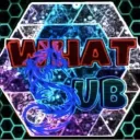 What sub