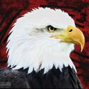 TG Modding Co. Discord Server Icon