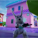 Bunny Count Crypto
