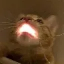 AAAAAAAAAAA