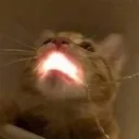 AAAAAAAAAAA