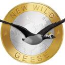 New Wild Geese Discord Server Icon