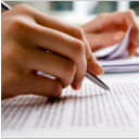 Essays For All