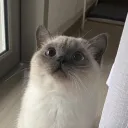 喫煙所