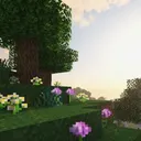 Cactus's Oasis