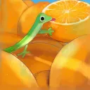 🍪 Pelusita dibujitos 🍉