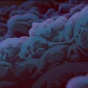 ♔𝐶𝑙𝑜𝑢𝑑𝑦 𝑃𝑎𝑙𝑎𝑐𝑒♔'s icon