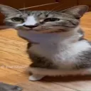 no funny