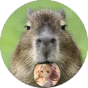 🌊 Capybara