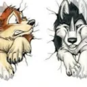 Silverwolfcan y su jauría