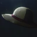 Straw Hats X Twinkers
