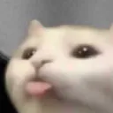 S.O.W