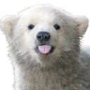 Clem server