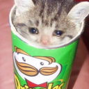 ð™žð™œð™£ð™¤ð™§ð™šð™™<3