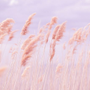 zephyr entertainment Server Icon