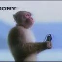MONKE TRIBE