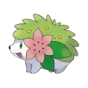 Gracidea