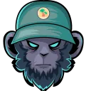 JUNGLE