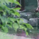 🌿﹕lost in the woods