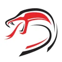 TEAM VYPER