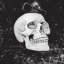 Co-Working Corpses