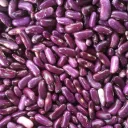 Bean Archive