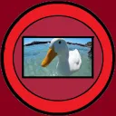 Birdmaster11 fan server