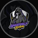 Anomaly Gaming Discord Server Icon