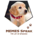 MEMES_Speak Server