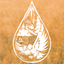 alexrainbirdMusic icon