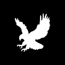 Advin Servers icon