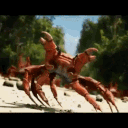 KRAB NATION (TEAM SIM EVENTS)