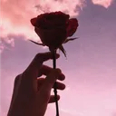 🌹 𝓡𝓸𝓼𝓮𝓼 🌹 - SHUTDOWN
