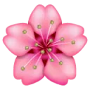 🌸 Magnolia