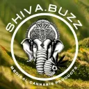 Shiva.Buzz